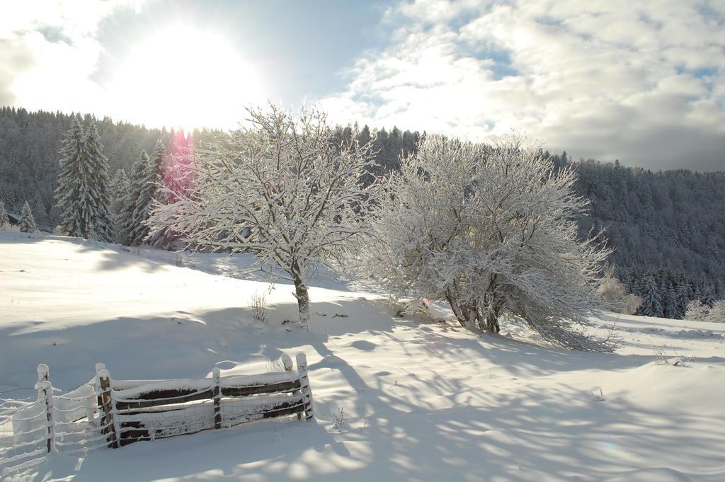 La Haut & Spa Ventron Rom bilde